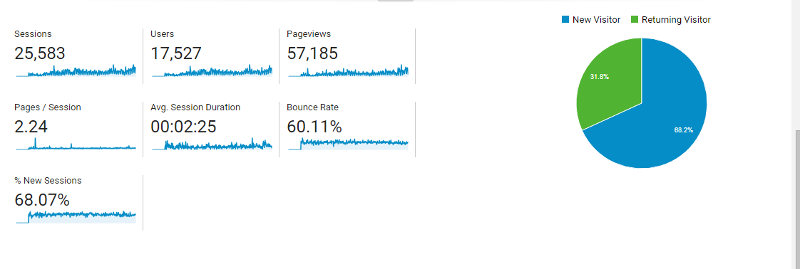 Visitor Analysis Report